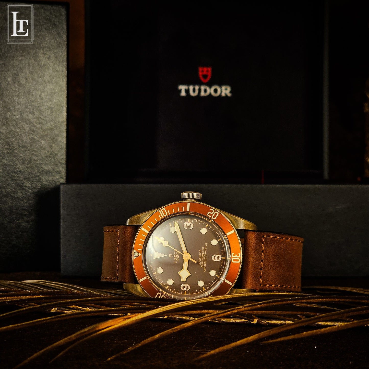 Tudor  Black Bay Bronzo