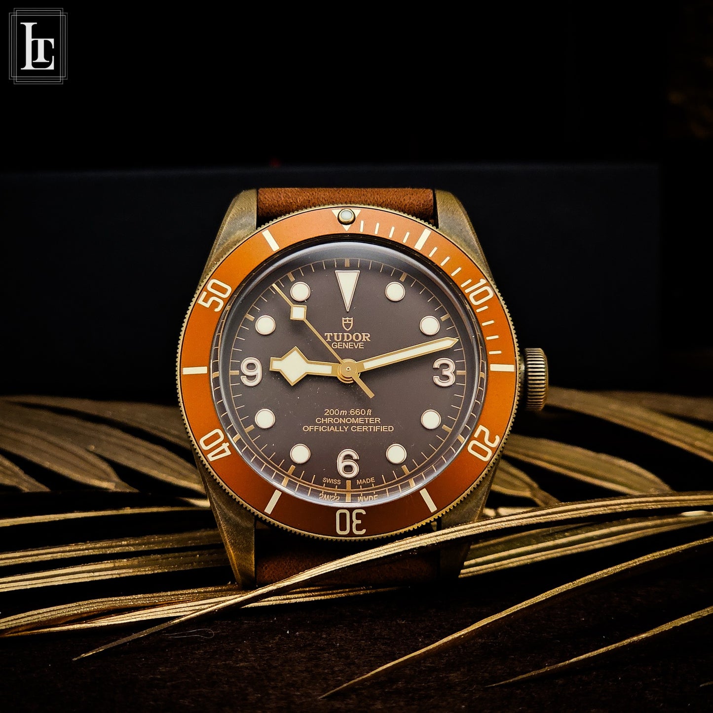 Tudor  Black Bay Bronzo