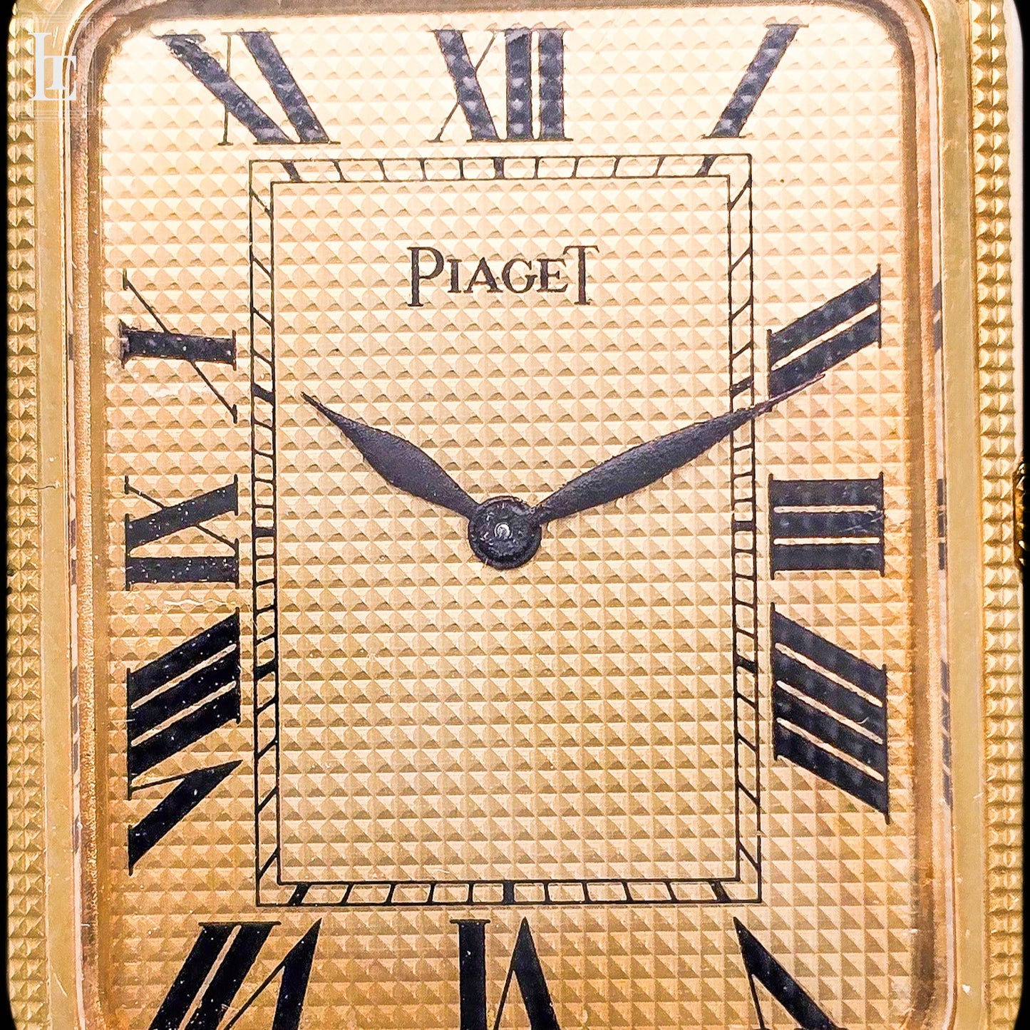 Piaget Protocole full gold