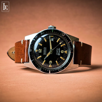 Monvis Professional diver