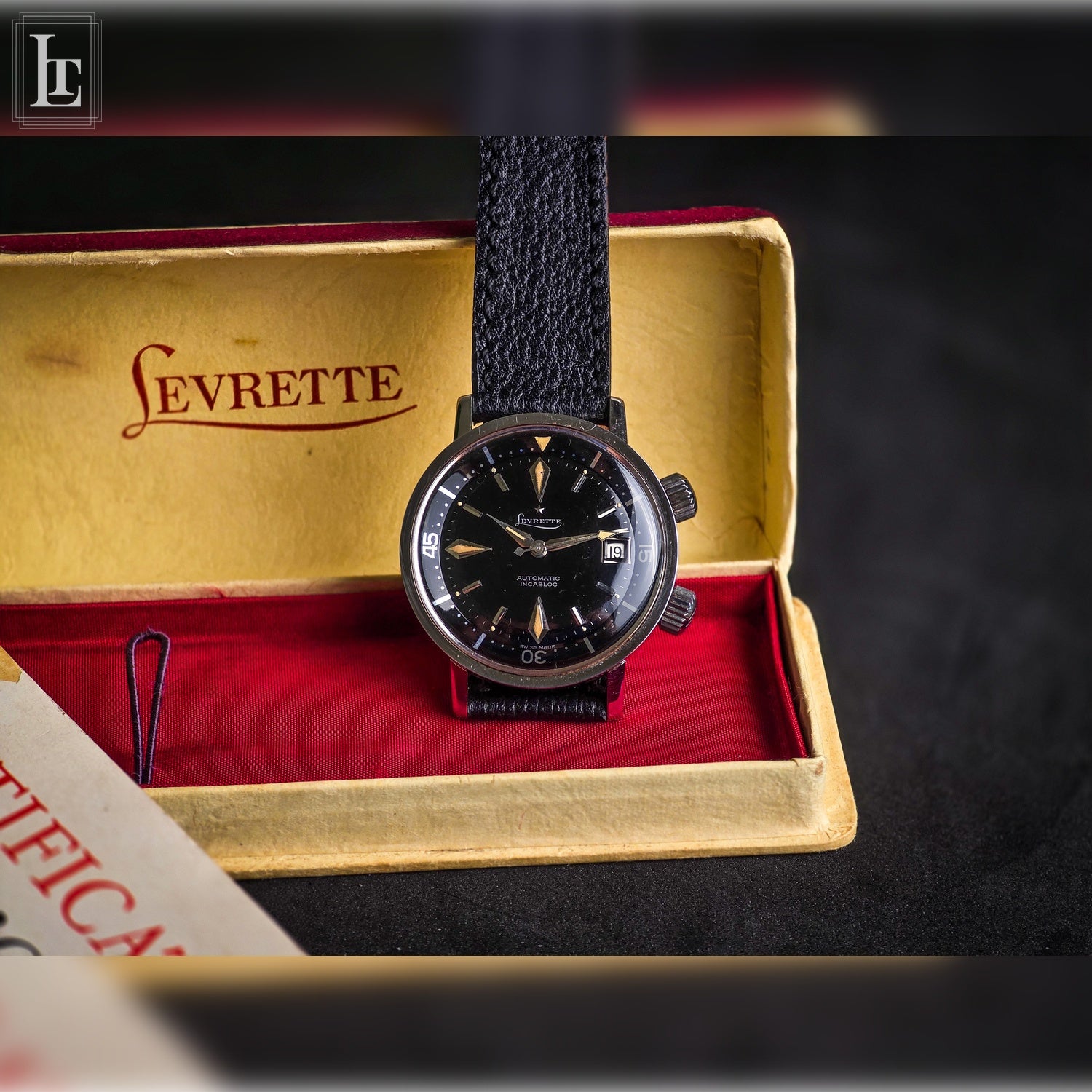 Levrette diver 2 crowns Tiger Shark – Luxo Time Firenze