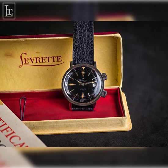 levrette-diver-2-crowns-tiger-shark-luxo-time-firenze