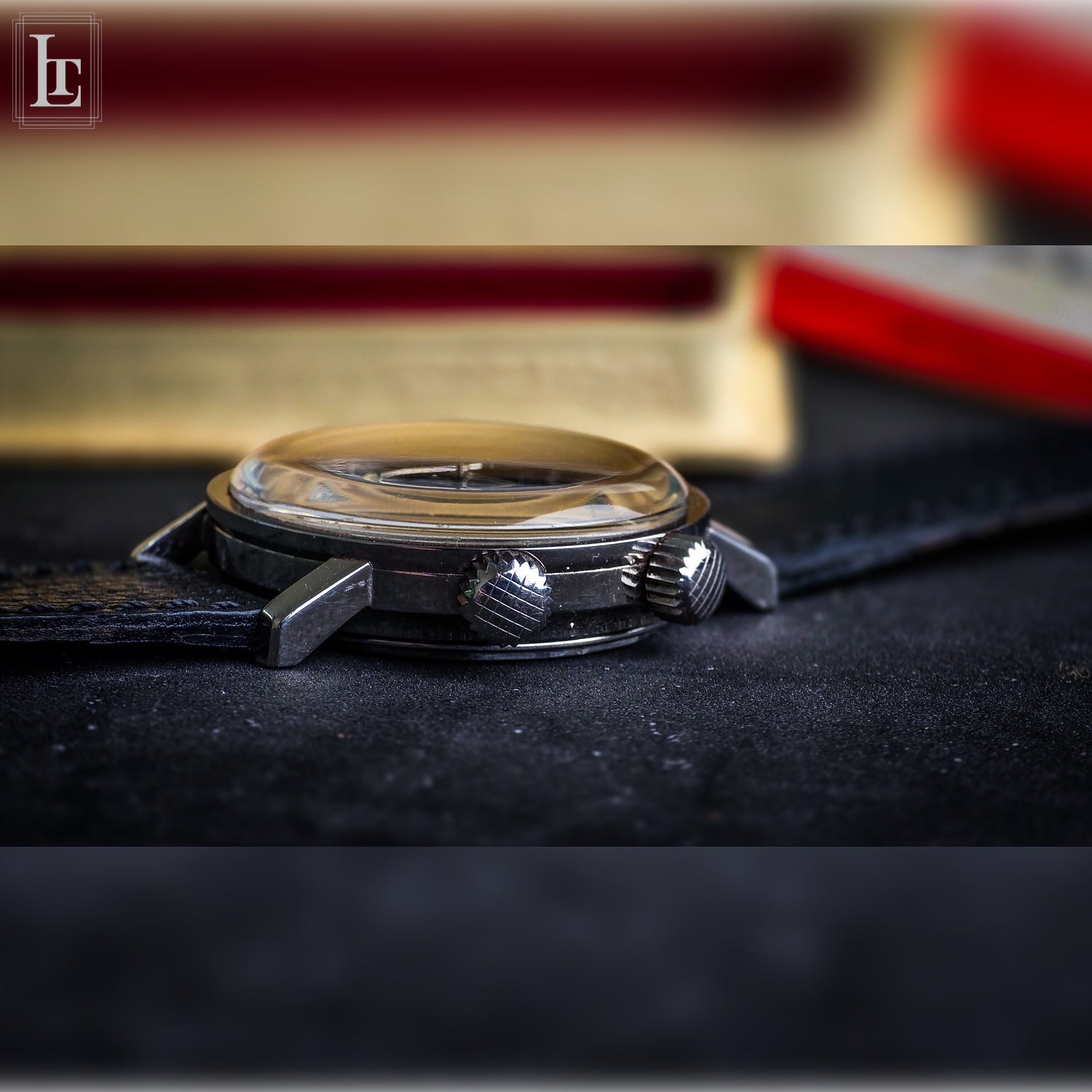 Levrette Diver 2 Crowns Tiger Shark Luxo Time Firenze levrette-diver-2-crowns-tiger-shark-luxo-time-firenze