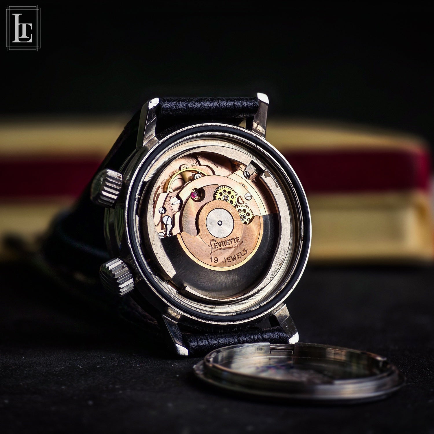 levrette-diver-2-crowns-tiger-shark-luxo-time-firenze