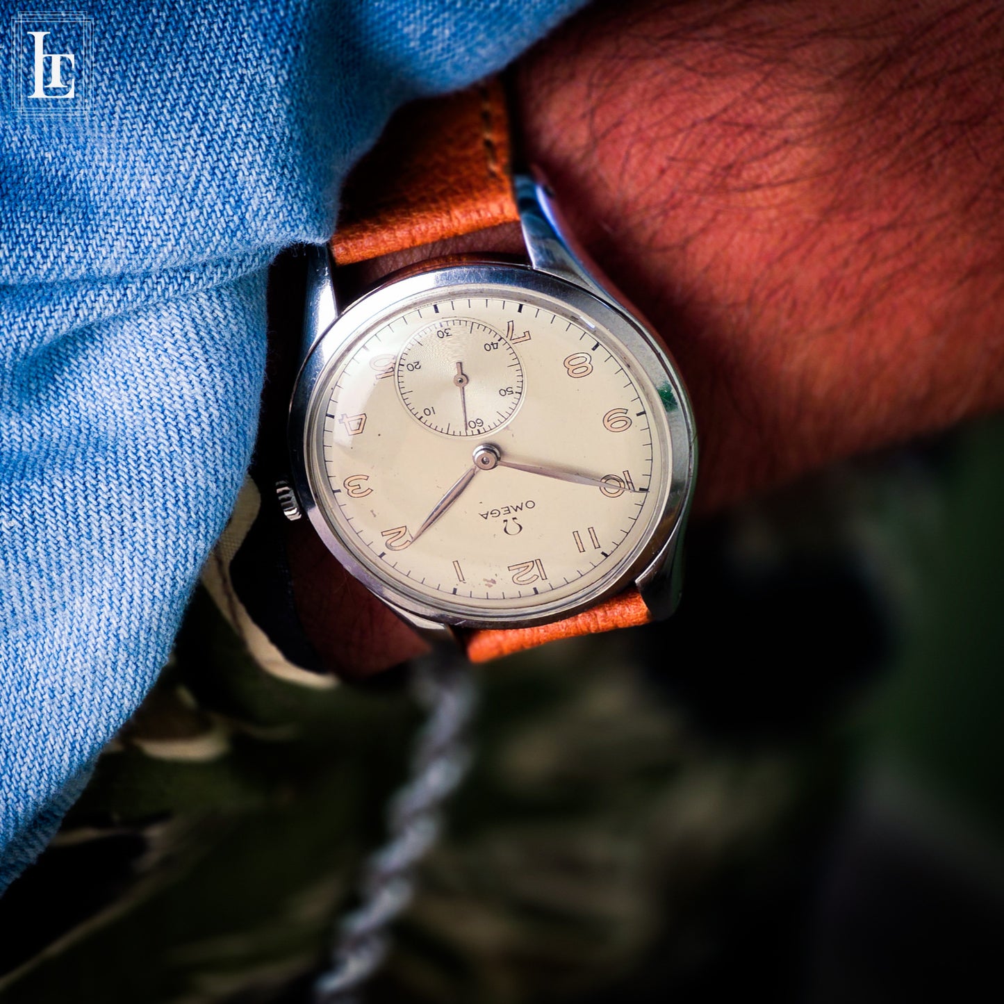 Omega Classic Oversize