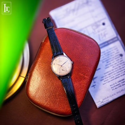Omega Classic Oversize