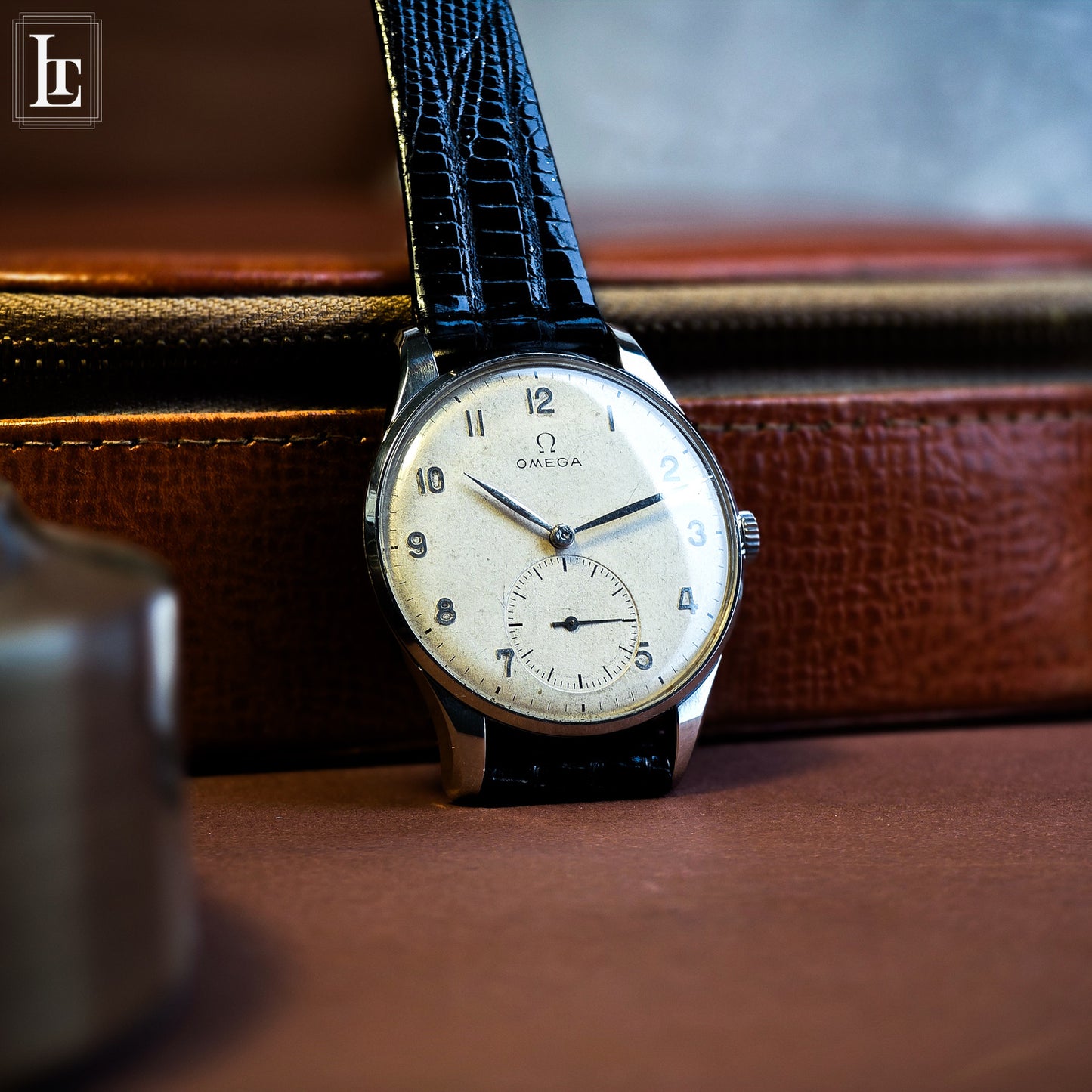 Omega Classic Oversize
