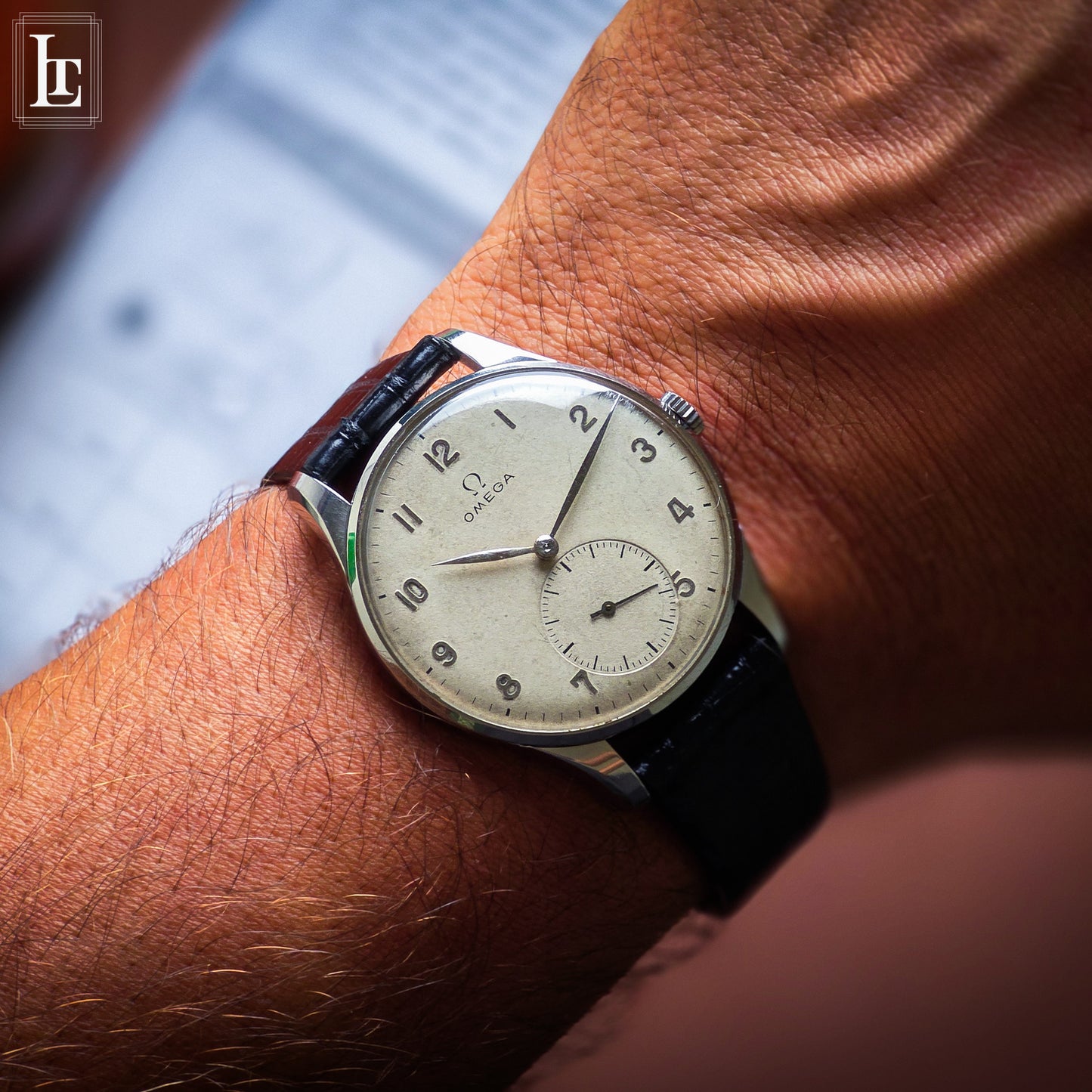 Omega Classic Oversize