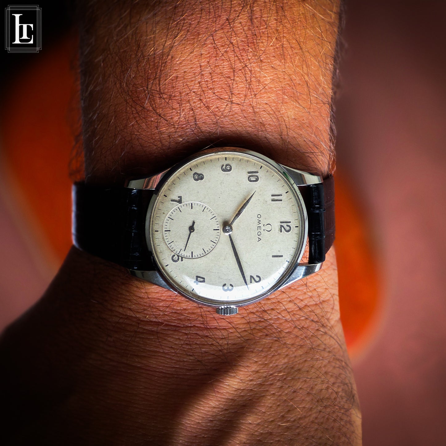 Omega Classic Oversize