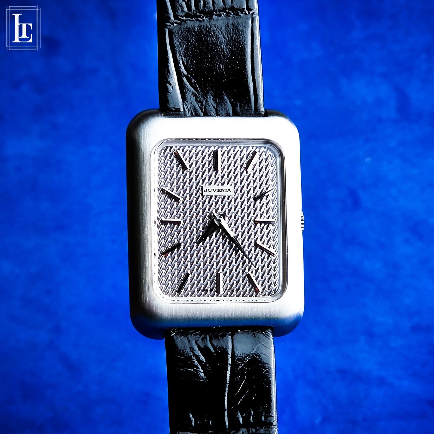 Juvenia “cioccolatino” NOS