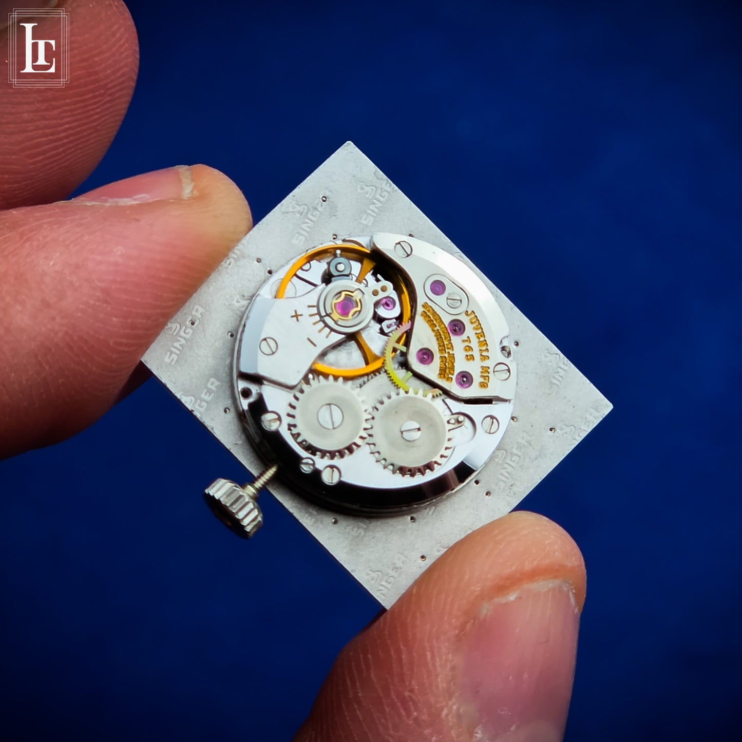 Juvenia “cioccolatino” NOS