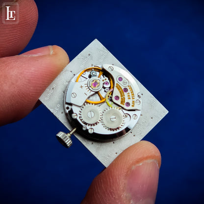 Juvenia “cioccolatino” NOS