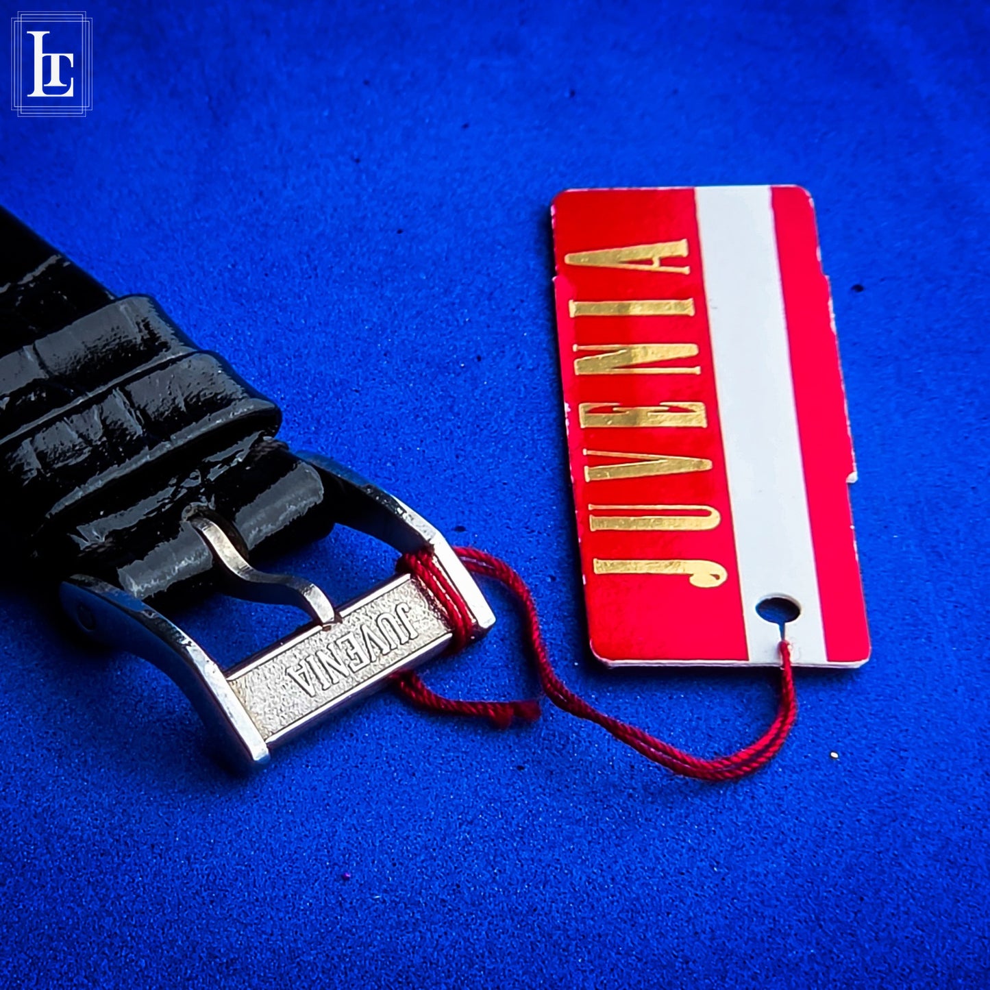 Juvenia “cioccolatino” NOS