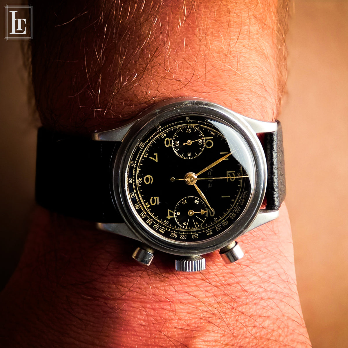 Cronografo Vetta Gilt V23