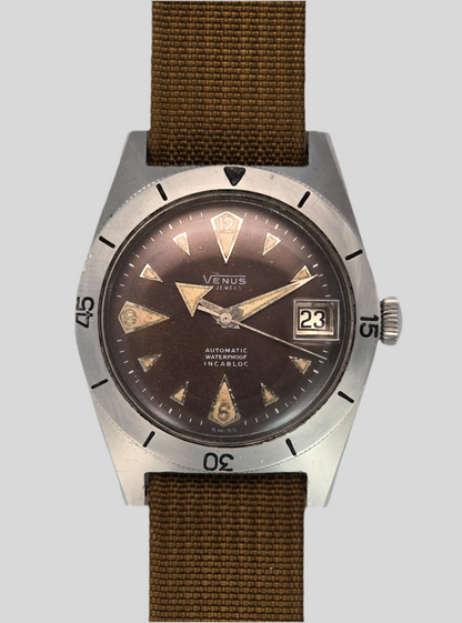 Venus diver tropicale
