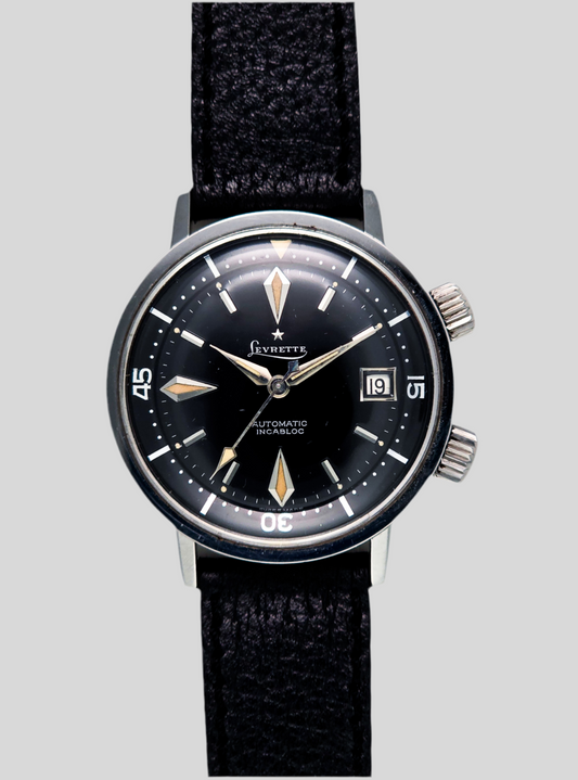 Levrette diver 2 corone Tiger Shark