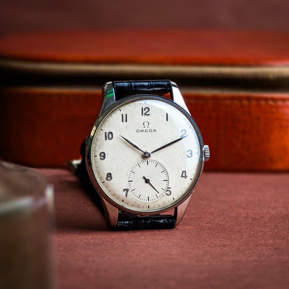 Omega Classic Oversize