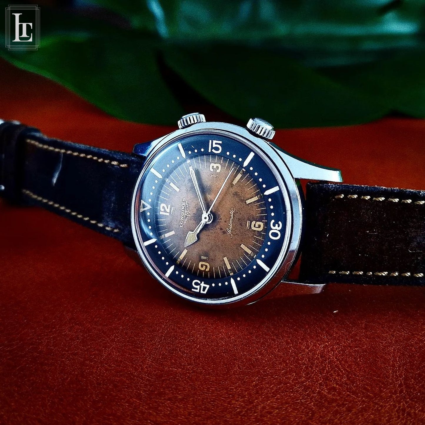 Longines diver 2 corone marrone